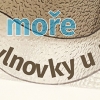 180314_Reklamex_banner_vlnovky.jpg